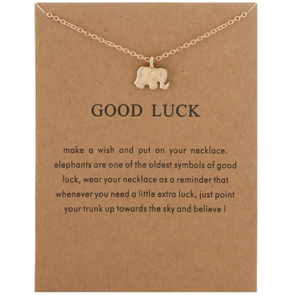 NWT Good Luck Necklace